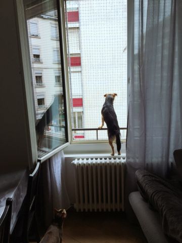 Fenêtre
