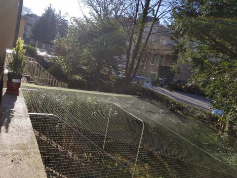 Jardin en ville