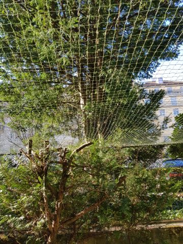 Jardin en ville