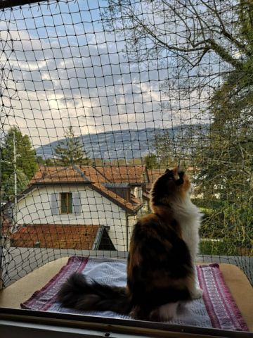 Fenêtre cage de foot