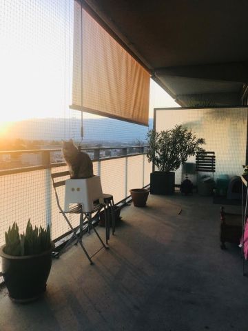 Balcon moderne toiles solaires verticales