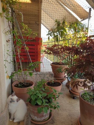 Balcon avec couverture
