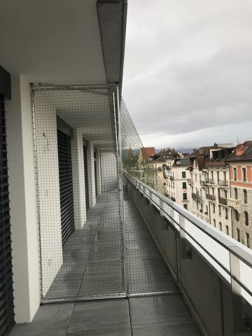 Catio