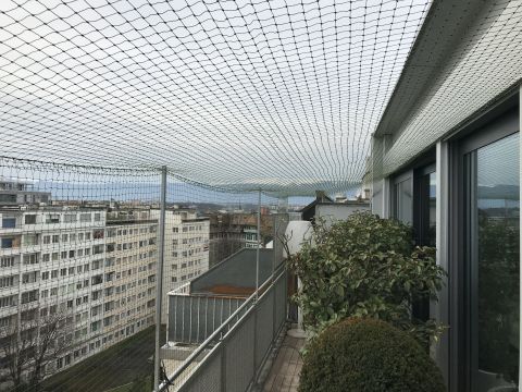 Terrasse avec couverture
