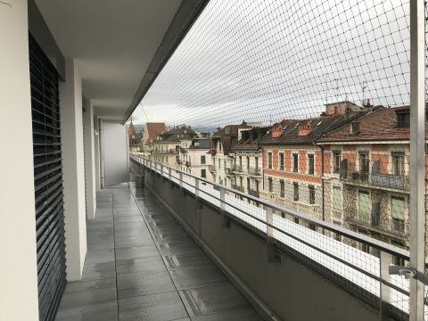 Catio