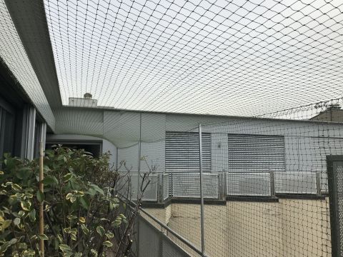 Terrasse avec couverture