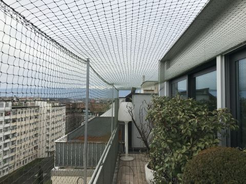 Terrasse avec couverture