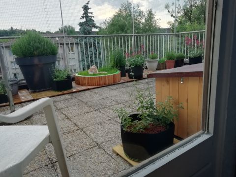 Terrasse avec couverture