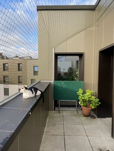 Terrasse avec couverture
