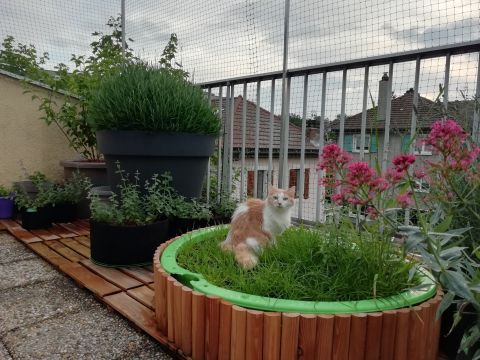 Terrasse avec couverture