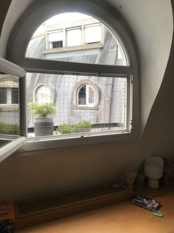 Photos