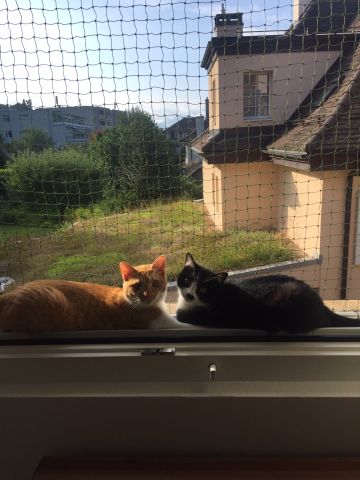 Bords de fenêtres, tablettes de balcon