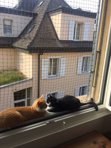 Bords de fenêtres, tablettes de balcon