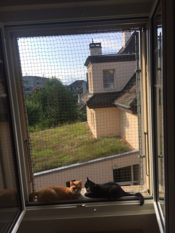 Bords de fenêtres, tablettes de balcon