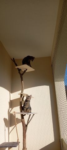 Balcon avec toile solaire