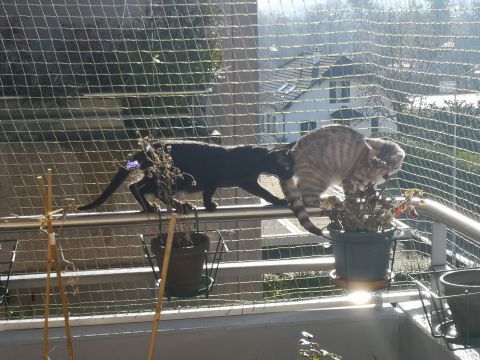 Balcon avec cadre
