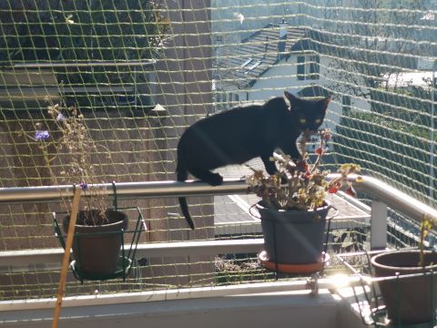 Balcon avec cadre
