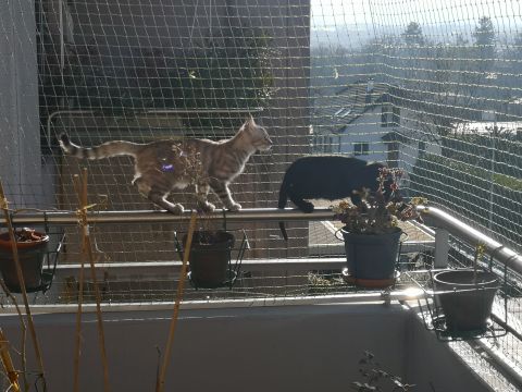 Balcon avec cadre