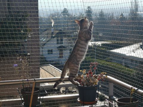 Balcon avec cadre