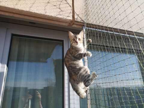 Balcon avec cadre