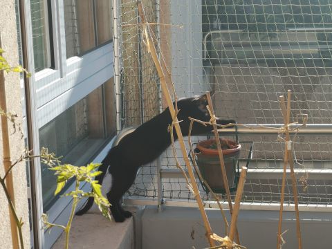 Balcon avec cadre