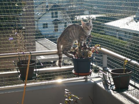 Balcon avec cadre