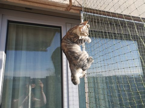Balcon avec cadre