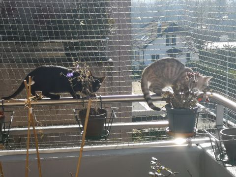 Balcon avec cadre