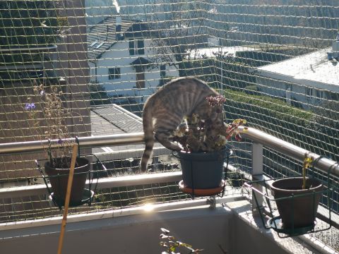 Balcon avec cadre