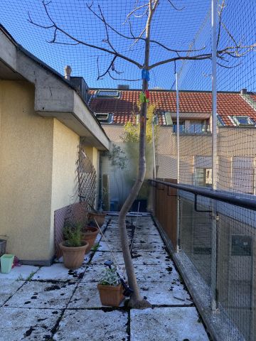 Balcon avec toile solaire