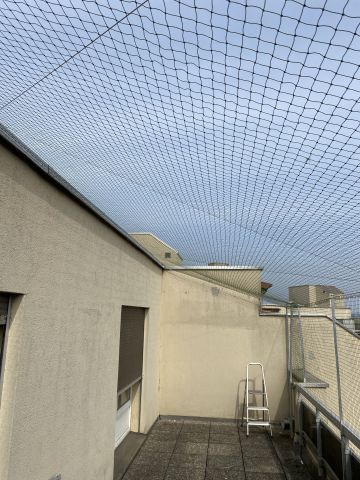 Temoignages