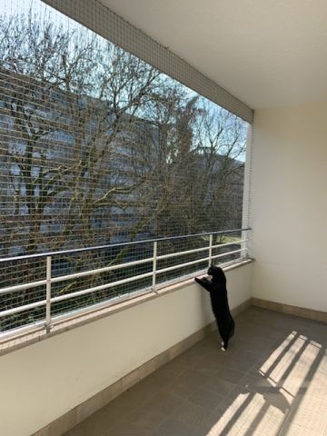 Balcon simple