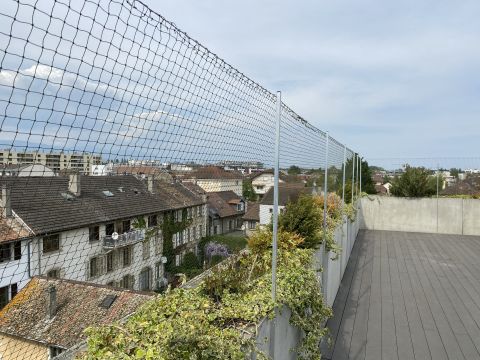 Photos terrasses