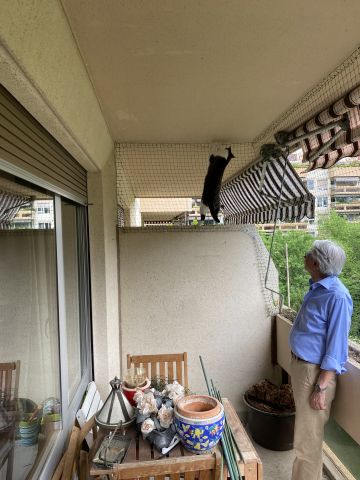 Balcon simple