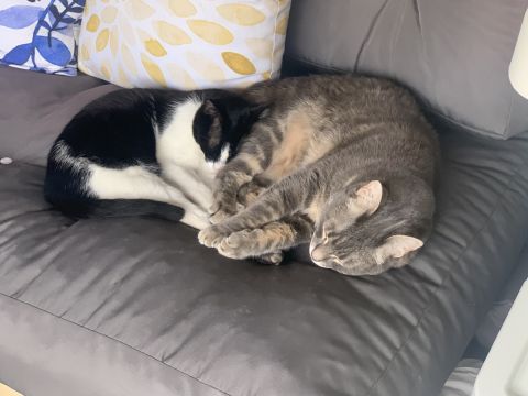 Temoignages