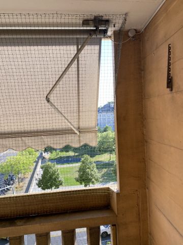 Fenêtres avec jardinière