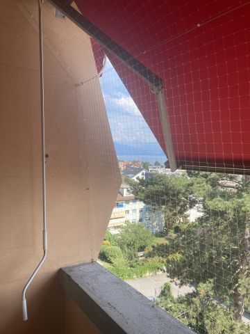 Filets transparents : déconseillés !!!