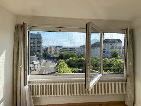 Fenêtres avec jardinière