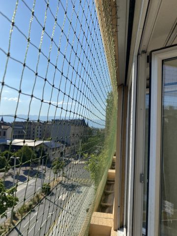 Fenêtres avec jardinière