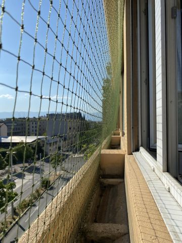 Fenêtres avec jardinière