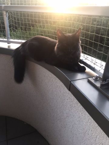 Balcon circulaire