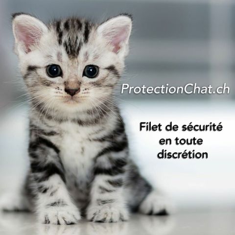 Chatons