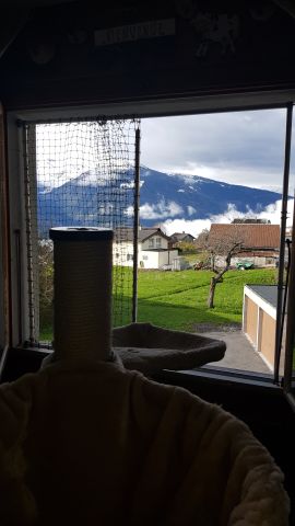 Balcon, porte, bavolet