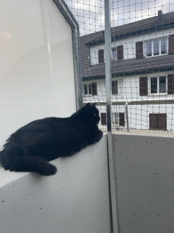 Balcon avec couverture