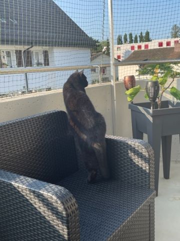 Balcon avec couverture