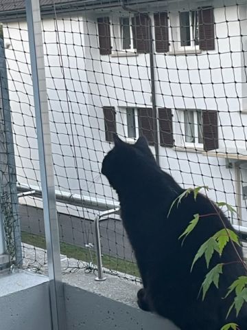 Balcon avec couverture