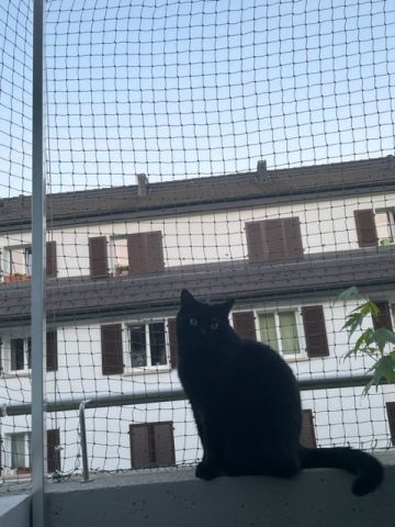 Balcon avec couverture