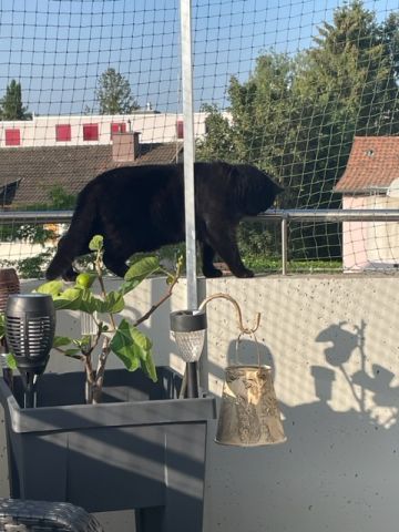 Balcon avec couverture