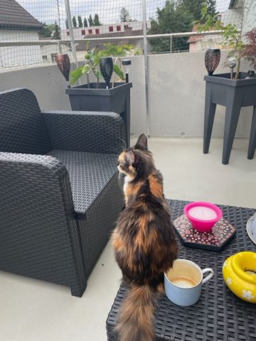 Balcon avec couverture
