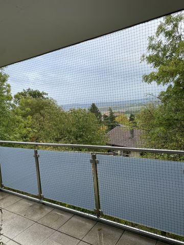 Balcon parois vitrées